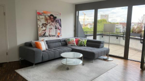 Penthouse 5 Room Duplex 3 Terraces, Near Center and Rhine